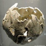 Lehtilyhty - paperiposliini